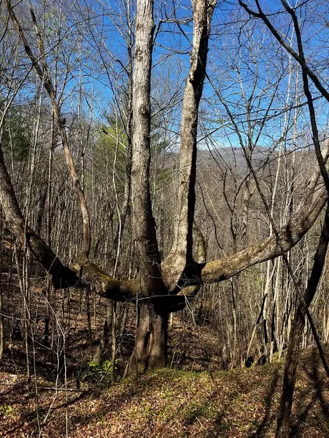 00 Leon Barron Rd, Sylva, NC 28779 photo 2