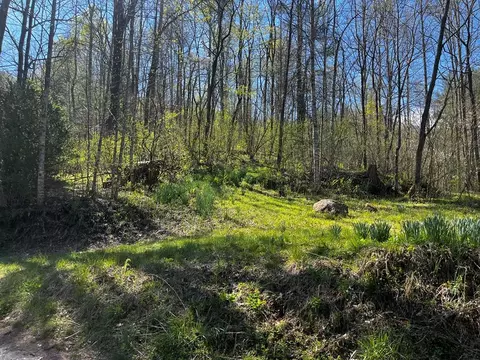 00 Leon Barron Rd, Sylva, NC 28779 photo 6