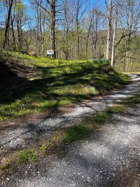 00 Leon Barron Rd, Sylva, NC 28779 photo 13