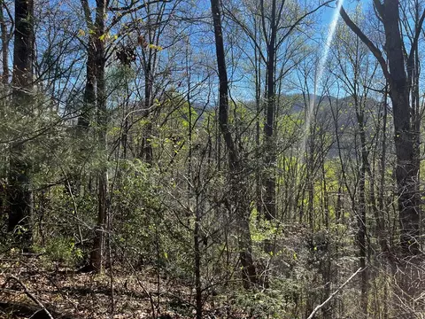 00 Leon Barron Rd, Sylva, NC 28779 photo 10