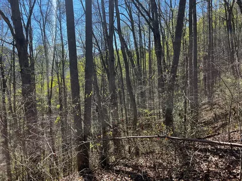 00 Leon Barron Rd, Sylva, NC 28779 photo 9