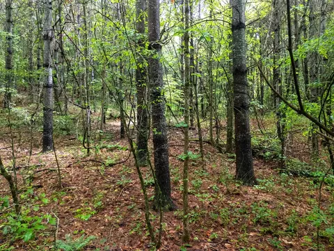 0 Old Cullowhee Rd, Sylva, NC 28779 photo 3
