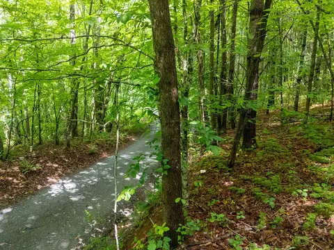 0 Old Cullowhee Rd, Sylva, NC 28779 photo 10
