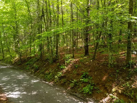 0 Old Cullowhee Rd, Sylva, NC 28779 photo 6