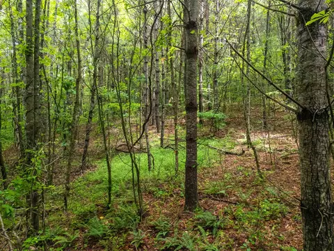 0 Old Cullowhee Rd, Sylva, NC 28779 photo 13