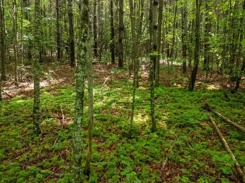 0 Old Cullowhee Rd, Sylva, NC 28779 photo 4