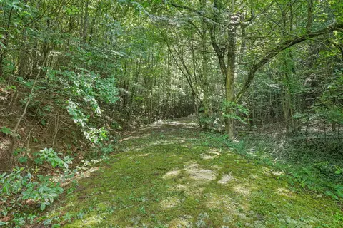 570 Sugarfork Rd, Franklin, NC 28734 photo 35
