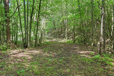 570 Sugarfork Rd, Franklin, NC 28734 photo 39