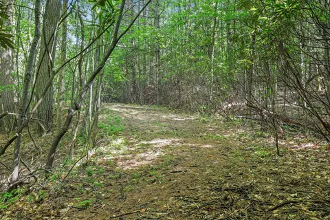 570 Sugarfork Rd, Franklin, NC 28734 photo 38