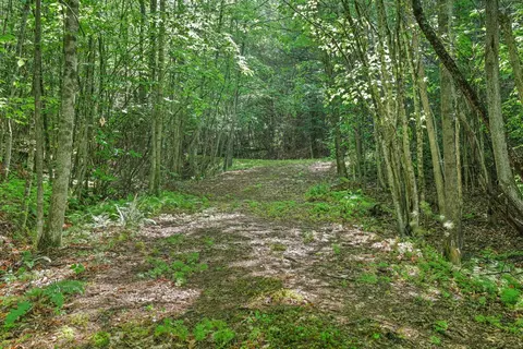 570 Sugarfork Rd, Franklin, NC 28734 photo 36