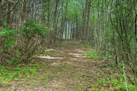 570 Sugarfork Rd, Franklin, NC 28734 photo 37