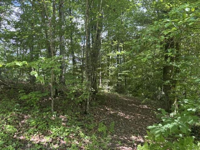 1 Holly Ridge Dr, Topton, NC 28781