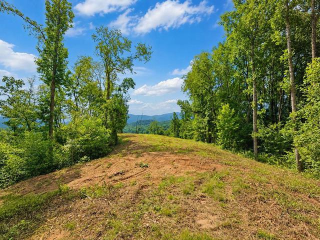 275 Sorrells Cove Rd, Waynesville, NC 28786