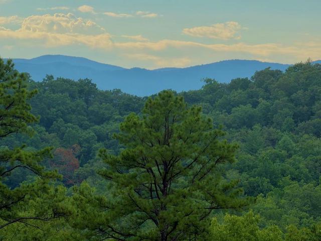 tbd Howard Edwards Rd, Robbinsville, NC 28771