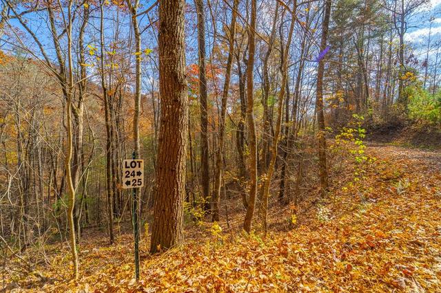 lot24 Rivers Edge, Franklin, NC 28713