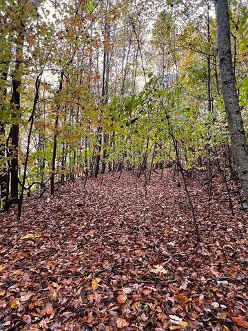 0 Friendship Walk, Bryson City, NC 28713