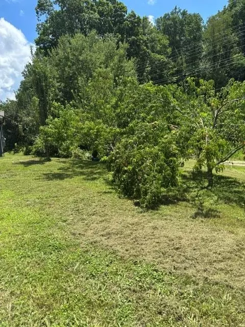 Exterior - 128 Barnes Rd, Sylva, NC 28779 photo 1 of 8