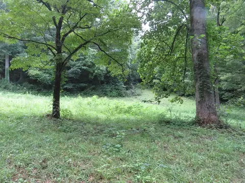 00 Lotus, Sylva, NC 28779 photo 6