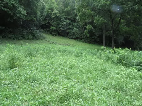 00 Lotus, Sylva, NC 28779 photo 7