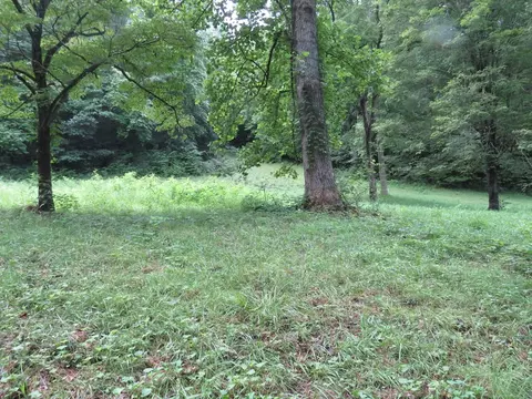00 Lotus, Sylva, NC 28779 photo 3