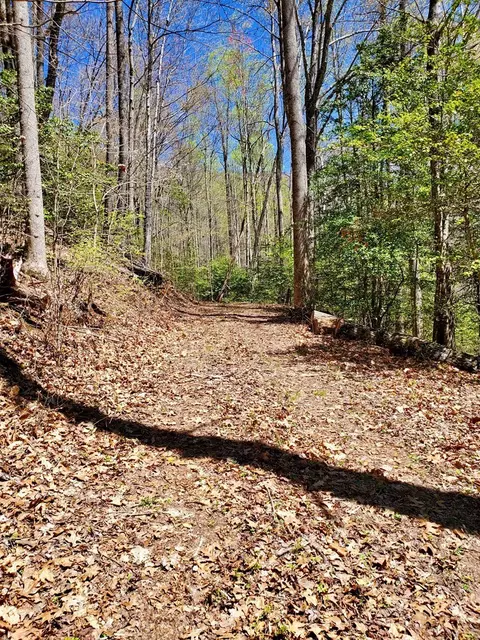 lot9 Hemlock Falls Dr, Sylva, NC 28779 photo 29