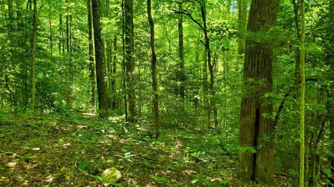 lot9 Hemlock Falls Dr, Sylva, NC 28779 photo 14