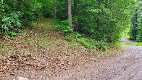 lot9 Hemlock Falls Dr, Sylva, NC 28779 photo 7