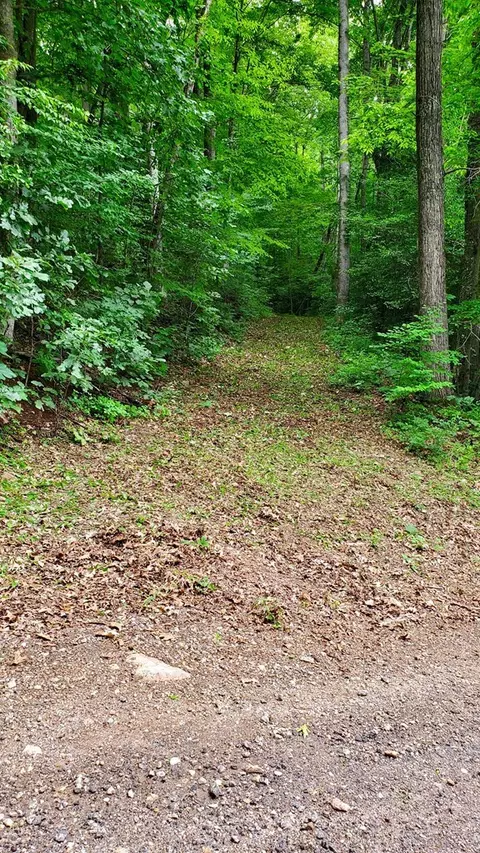 lot9 Hemlock Falls Dr, Sylva, NC 28779 photo 6
