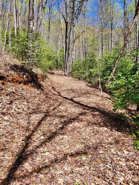 lot9 Hemlock Falls Dr, Sylva, NC 28779 photo 28