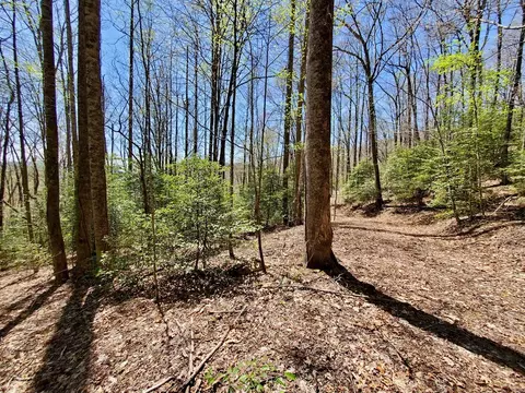 lot9 Hemlock Falls Dr, Sylva, NC 28779 photo 22