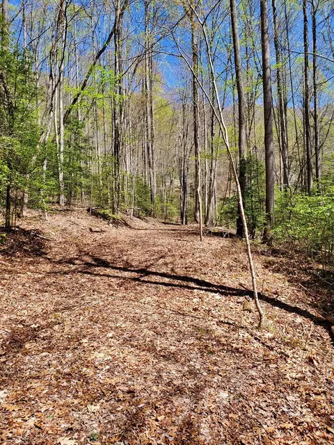 lot9 Hemlock Falls Dr, Sylva, NC 28779 photo 30
