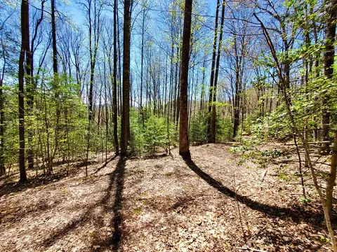 lot9 Hemlock Falls Dr, Sylva, NC 28779 photo 26