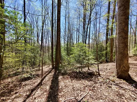 lot9 Hemlock Falls Dr, Sylva, NC 28779 photo 24