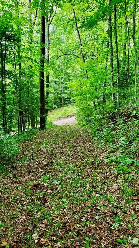 lot9 Hemlock Falls Dr, Sylva, NC 28779 photo 5