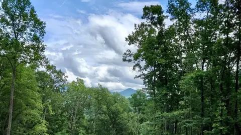 lot9 Hemlock Falls Dr, Sylva, NC 28779 photo 17