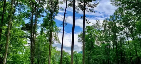 lot9 Hemlock Falls Dr, Sylva, NC 28779 photo 12