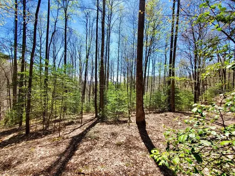 lot9 Hemlock Falls Dr, Sylva, NC 28779 photo 2