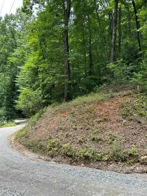 0 Tract 4a Coman Rd, Franklin, NC 28734 photo 4