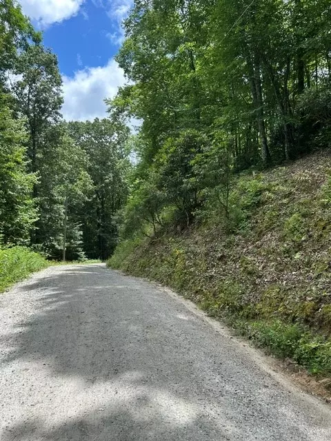 0 Tract 4a Coman Rd, Franklin, NC 28734 photo 2