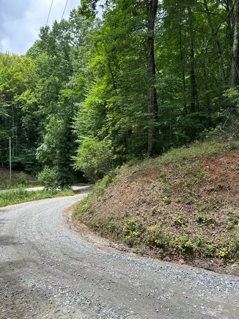 0 Tract 4a Coman Rd, Franklin, NC 28734 photo 5