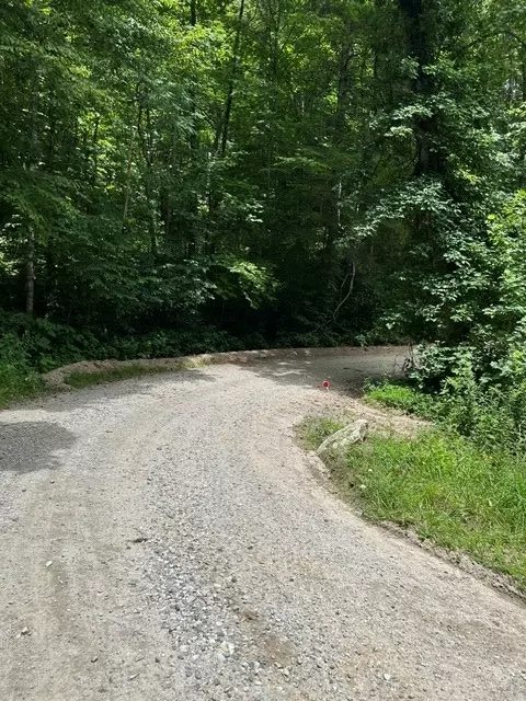 0 Tract 4a Coman Rd, Franklin, NC 28734 photo 3