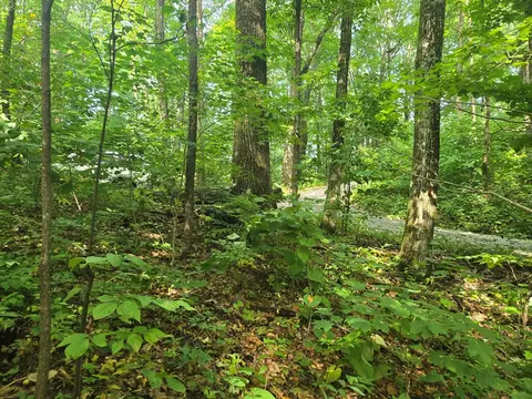 000 Rosemount Rd, Sylva, NC 28779 photo 11