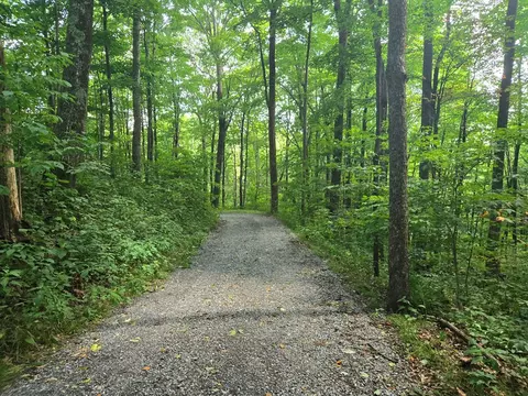 000 Rosemount Rd, Sylva, NC 28779 photo 9