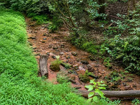 Other - 306 Springbrook Dr, Franklin, NC 28734 photo 12 of 12