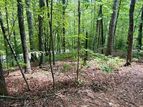 0 Watia Rd, Bryson City, NC 28713