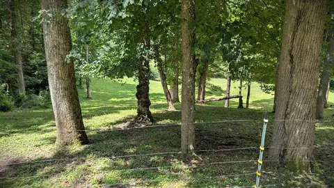 0 Tr B Fairview Rd, Sylva, NC 28779 photo 3