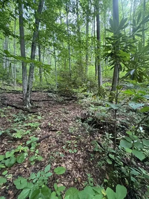 1285 Hemlock Falls Dr, Sylva, NC 28779 photo 9