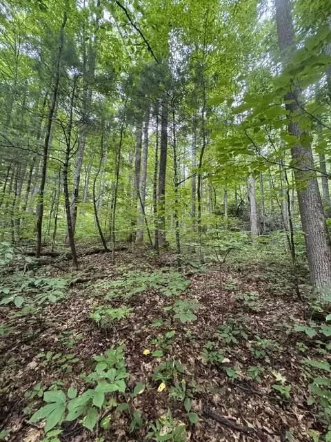 1285 Hemlock Falls Dr, Sylva, NC 28779 photo 5
