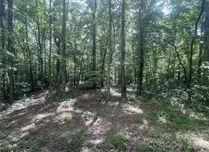 2060 Us Hwy 19s, Bryson City, NC 28713