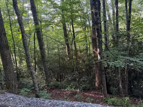 0 Wandering Rdg, Cashiers, NC 28736